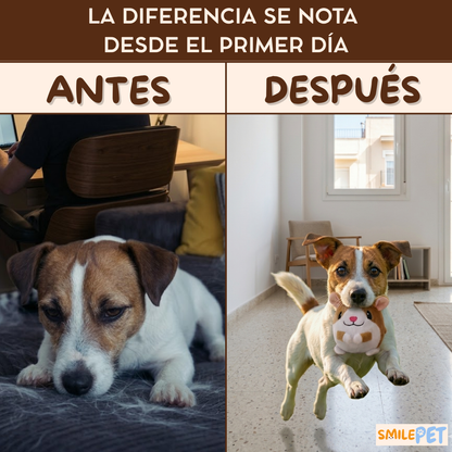 Pelota Saltarina Interactiva Electrónica