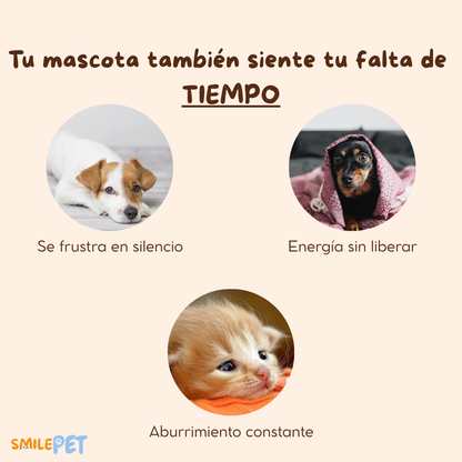 Pelota Saltarina Interactiva Electrónica