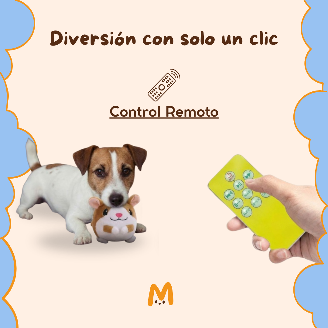 Pelota Saltarina Interactiva Electrónica